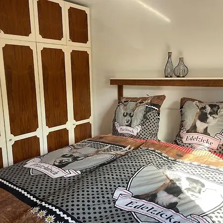 Partenkirchen 公寓